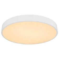 Plafonnier Leanara II -Globo Lighting 1000310940 211126 15062800297 DETAILS P000000001000310940