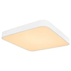 Plafonnier Leanara I -Globo Lighting 1000310948 211126 15063100363 DETAILS P000000001000310948