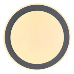 Plafonnier Deggi 10 Plafonnier Deggi -Globo Lighting 1000310973 211126 15064100555 DETAILS P000000001000310973