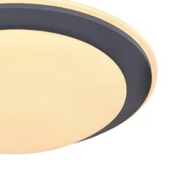 Plafonnier Deggi 11 Plafonnier Deggi -Globo Lighting 1000310973 211126 15064100566 DETAILS P000000001000310973