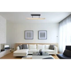 Globo Lighting -Globo Lighting 1000311030 211126 15070300964 MOOD DETAILS P000000001000311030 mood