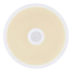 Plafonnier Raffy -Globo Lighting 1000311080 211126 15071801435 DETAILS P000000001000311080