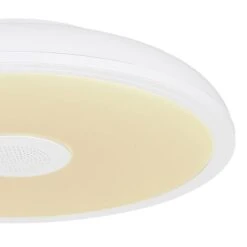 Plafonnier Raffy -Globo Lighting 1000311080 211126 15071801457 DETAILS P000000001000311080